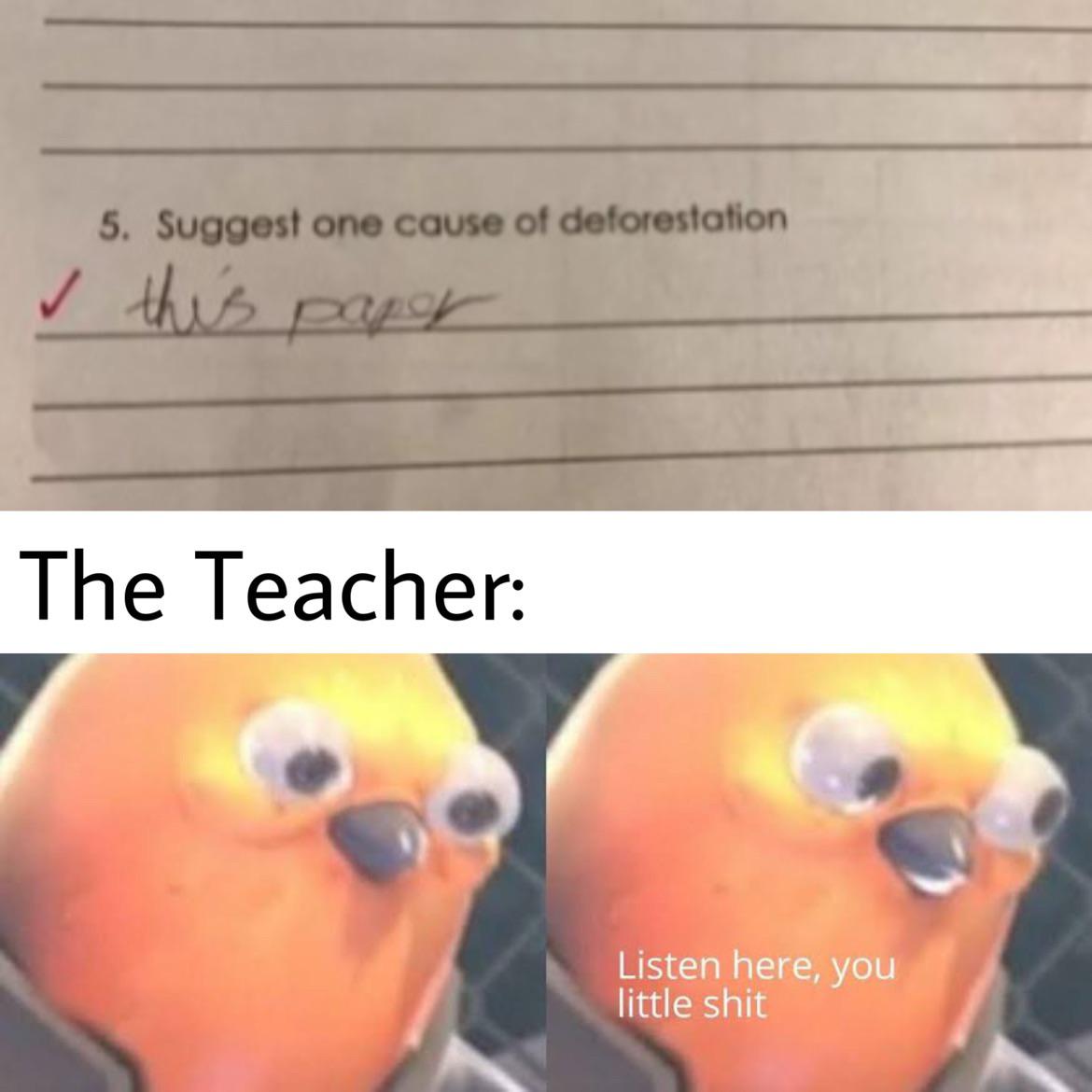 monday morning randomness - listen here you little bird meme - 5. Suggest one cause of deforestation this paper The Teacher Listen here, you little shit