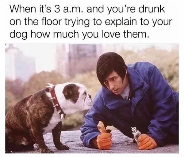 relatable memes -When it's 3 a.m. and you're drunk on the floor trying to explain to your dog how much you love them.