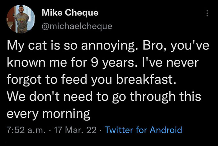 relatable memes -Screenshot - Mike Cheque My cat is so annoying. Bro, you've known me for 9 years. I've never forgot to feed you breakfast. We don't need to go through this every morning a.m. 17 Mar. 22 Twitter for Android