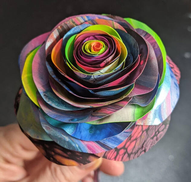 cool things - rainbow rose