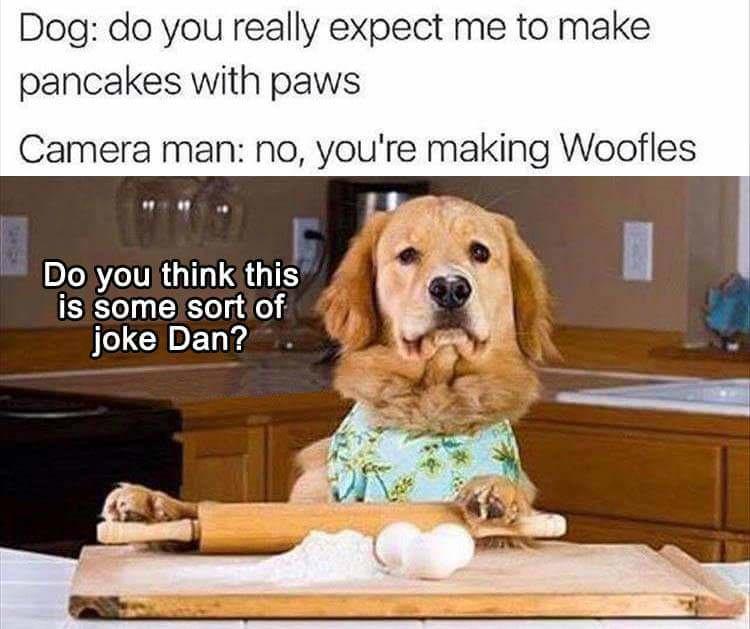 awesome randoms  - have no idea what im doing - Dog do you really expect me to make pancakes with paws Camera man no, you're making Woofles Do you think this is some sort of joke Dan?
