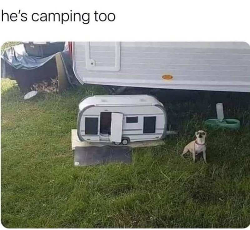 awesome randoms  - caravan meme funny - he's camping too