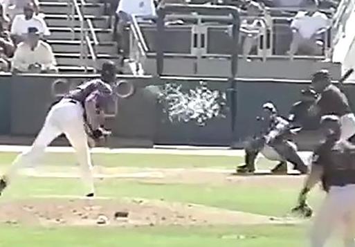 Crazy Moments in Baseball - randy johnson bird