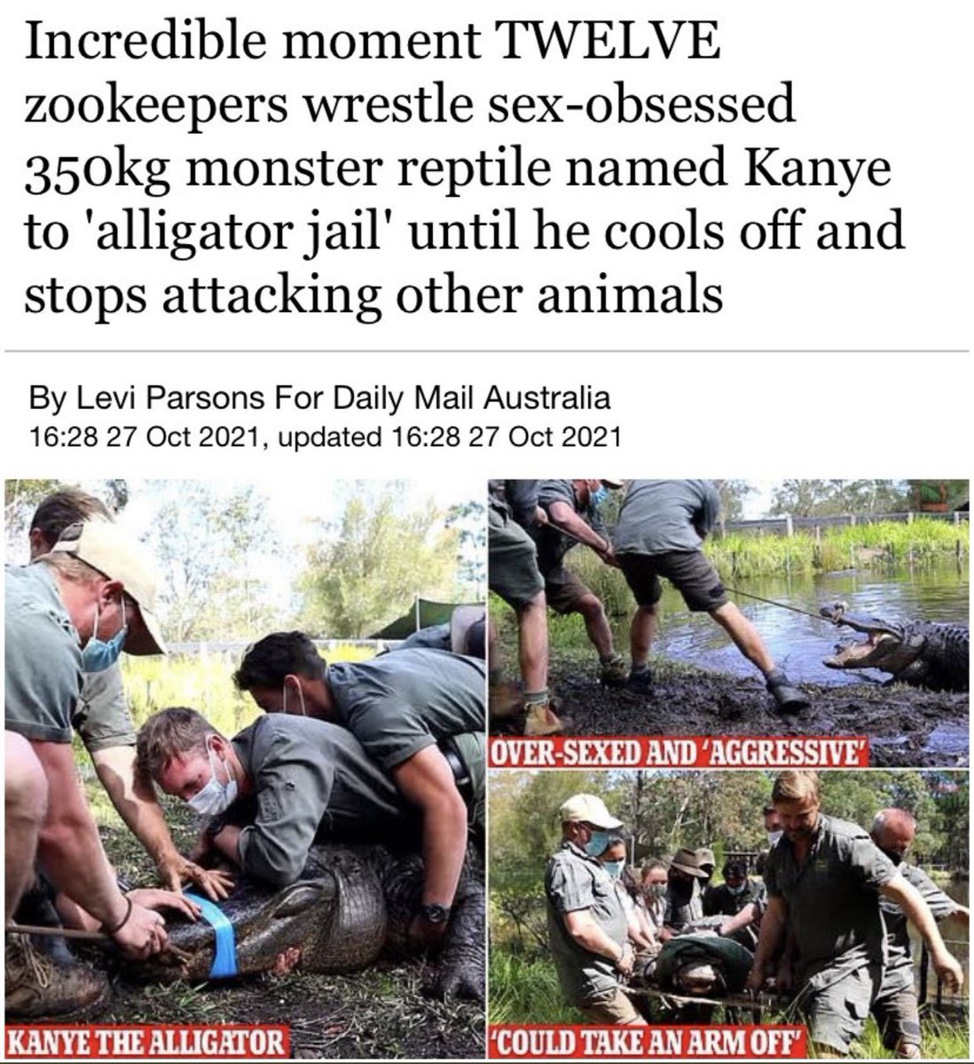 dudes posting wins - sex obsessed kanye alligator - Incredible moment Twelve zookeepers wrestle sexobsessed g monster reptile named Kanye to 'alligator jail' until he cools off and stops attacking other animals By Levi Parsons For Daily Mail Australia , u