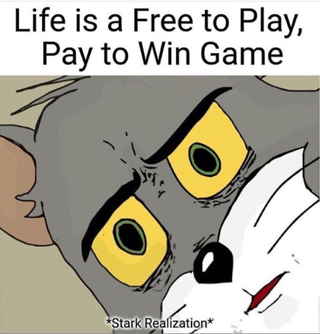 dark memes - edgy memes - modest proposal meme - is a Free to Play, Pay to Win Game Stark Realization