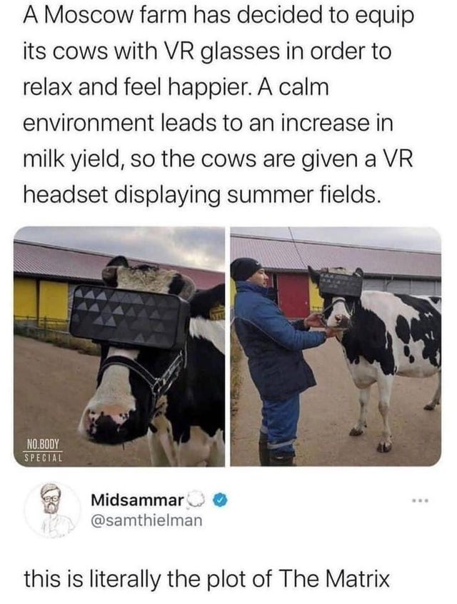 dark memes - edgy memes - vr for cows matrix - A Moscow farm has decided to equip its cows with Vr glasses in order to relax and feel happier. A calm environment leads to an increase in milk yield, so the cows are given a Vr headset displaying summer fiel