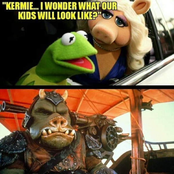 awesome randoms and funny memes - stephen constantino - "Kermie... I Wonder What Our Kids Will Look ?"