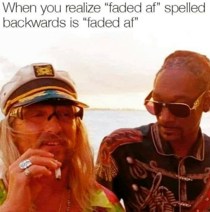monday morning randomness-  beach bum - When you realize "faded af" spelled backwards is "faded af"