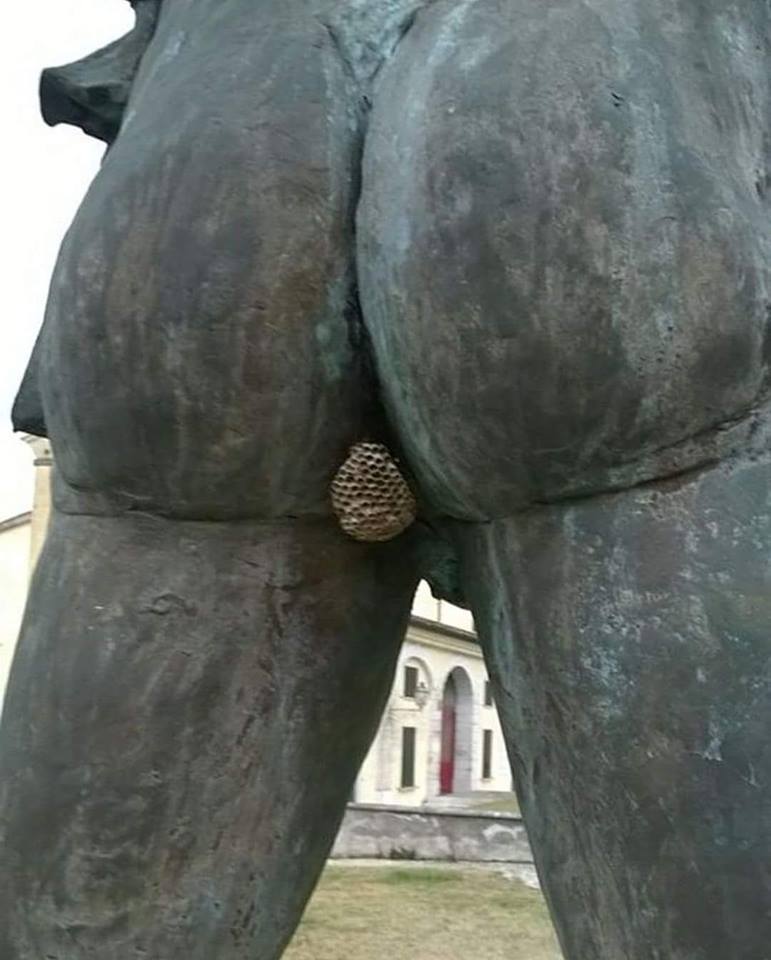 monday morning randomness-  wasp nest on statue butt - Al