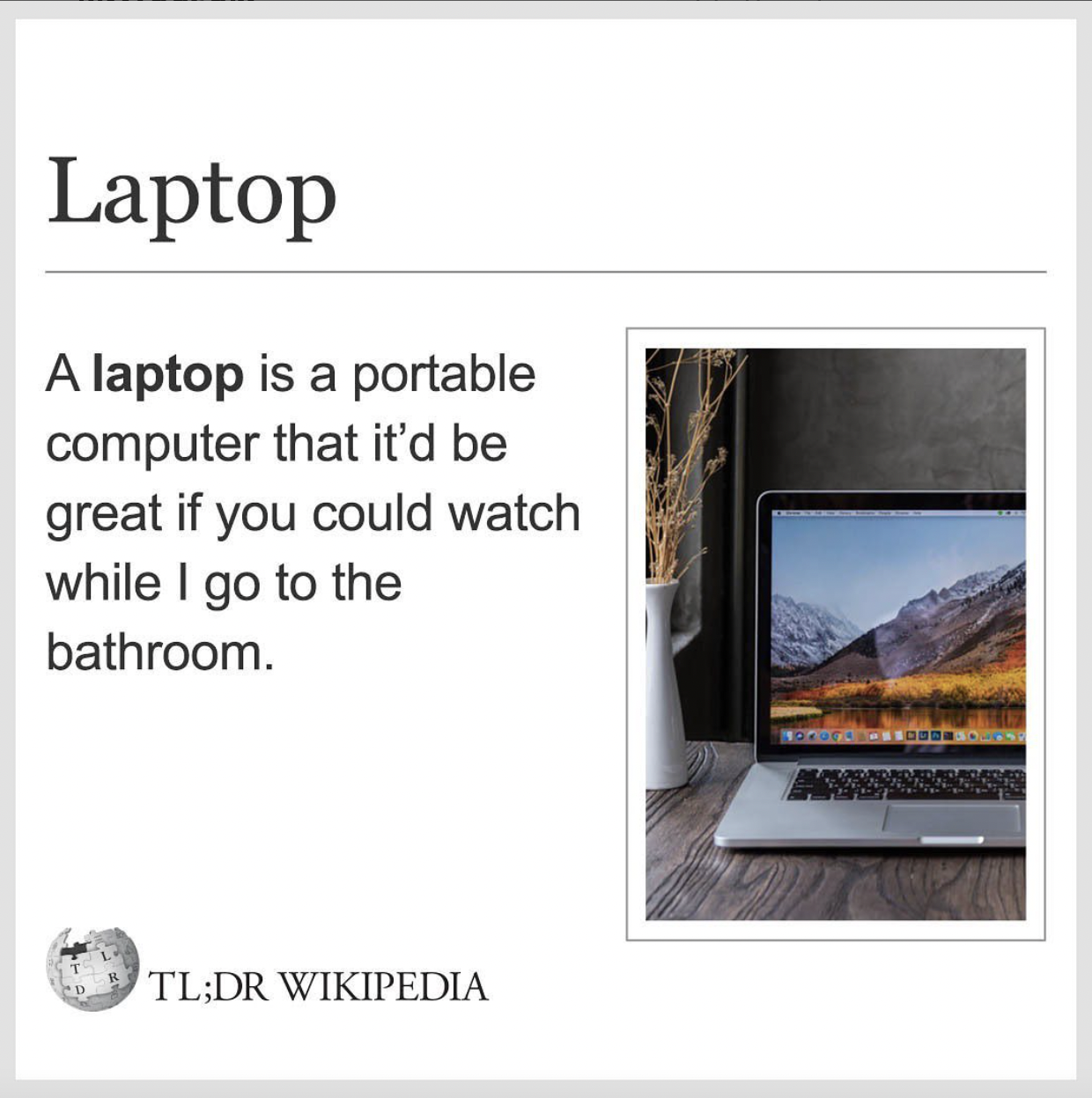 Wikipedia Memes - multimedia - Laptop A laptop is a portable computer that it'd be great if you could watch while I go to the bathroom. Tl;Dr Wikipedia
