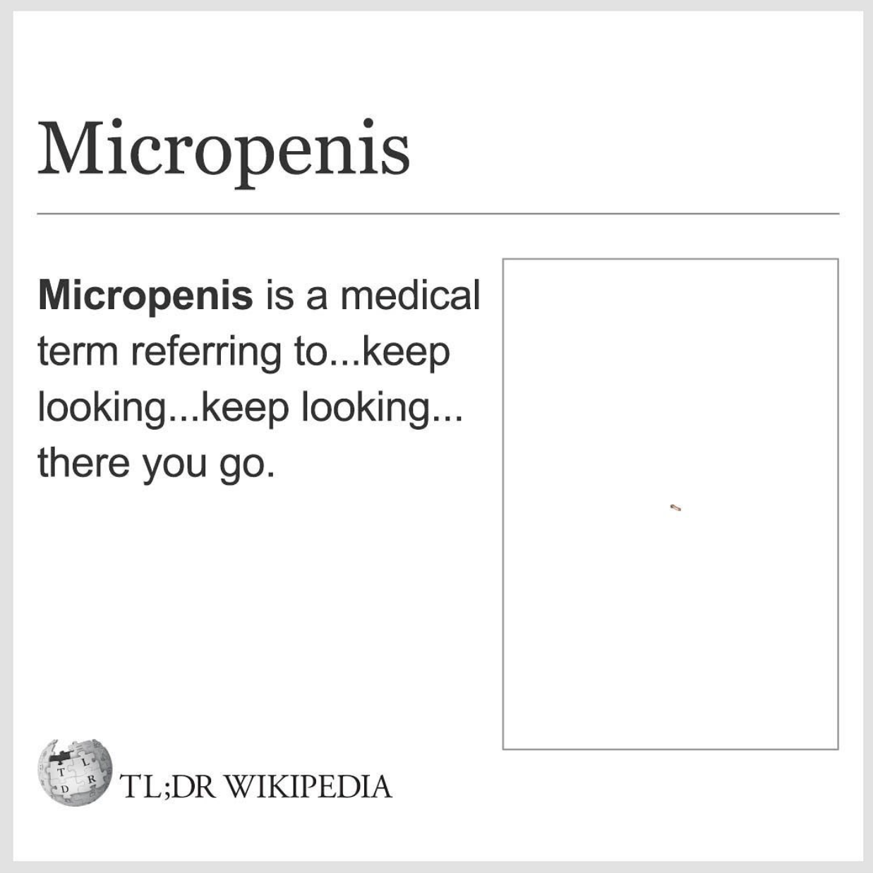 Wikipedia Memes - quotes - Micropenis Micropenis is a medical term referring to...keep looking...keep looking... there you go. Tl;Dr Wikipedia