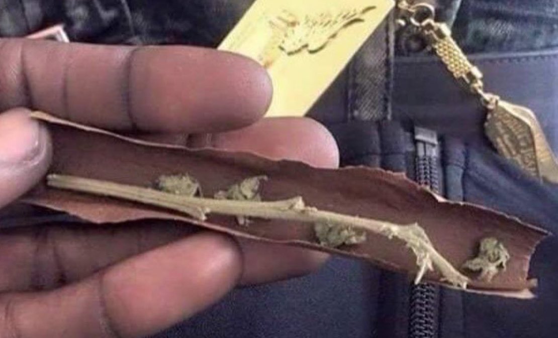 420 - worst joints ever - if monday was a blunt