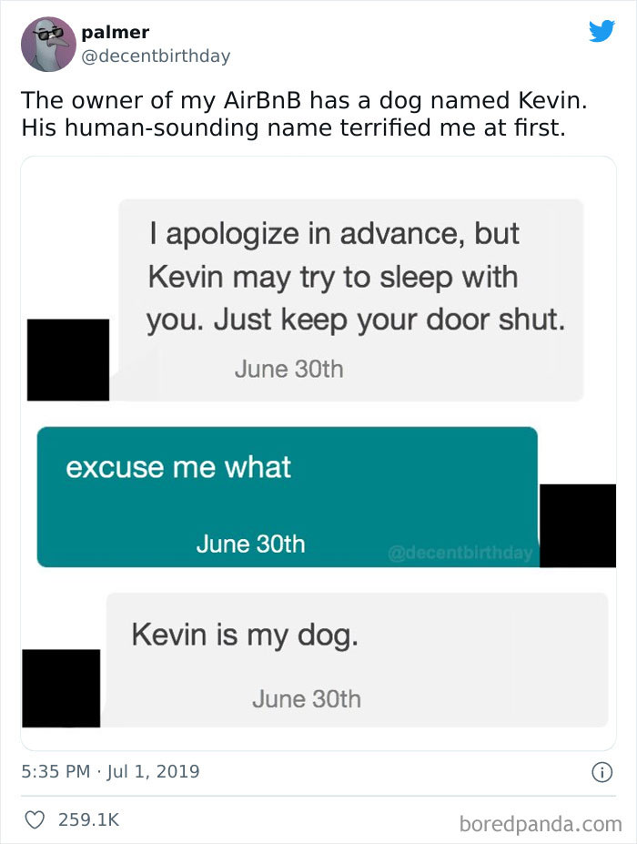 funny comments - web page - palmer The owner of my AirBnB has a dog named Kevin. His humansounding name terrified me at first. I apologize in advance, but Kevin may try to sleep with you. Just keep your door shut. June 30th excuse me what June 30th Kevin 