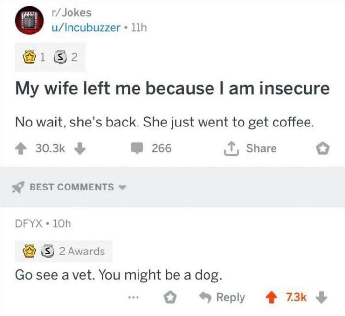 funny comments - my wife left me because i m insecure meme - rJokes uIncubuzzer. 11h 1 S 2 My wife left me because I am insecure No wait, she's back. She just went to get coffee. 266 1, Best Dfyx. 10h S 2 2 Awards Go see a vet. You might be a dog.