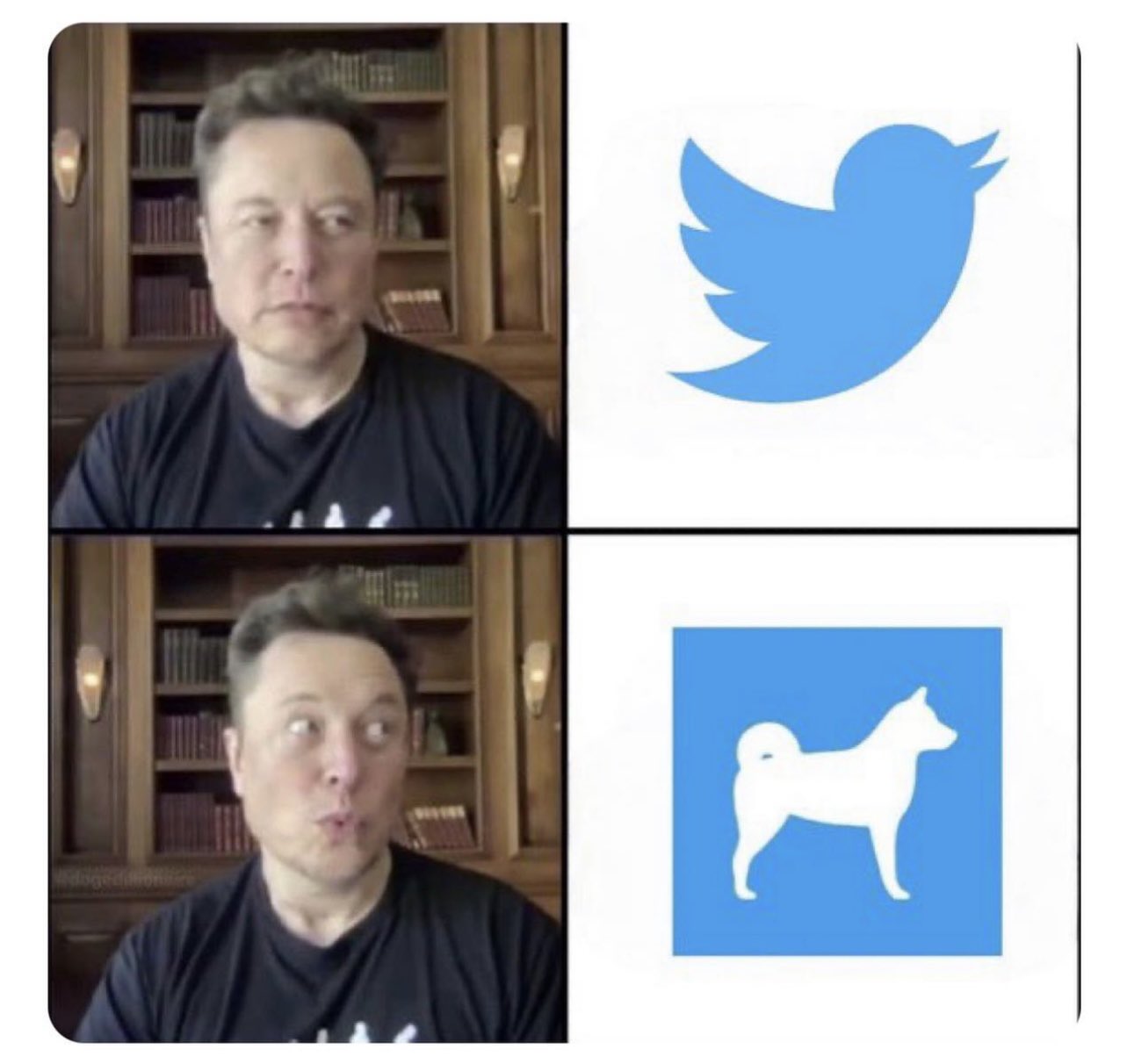Elon Musk Twitter Memes - twitter new - i M