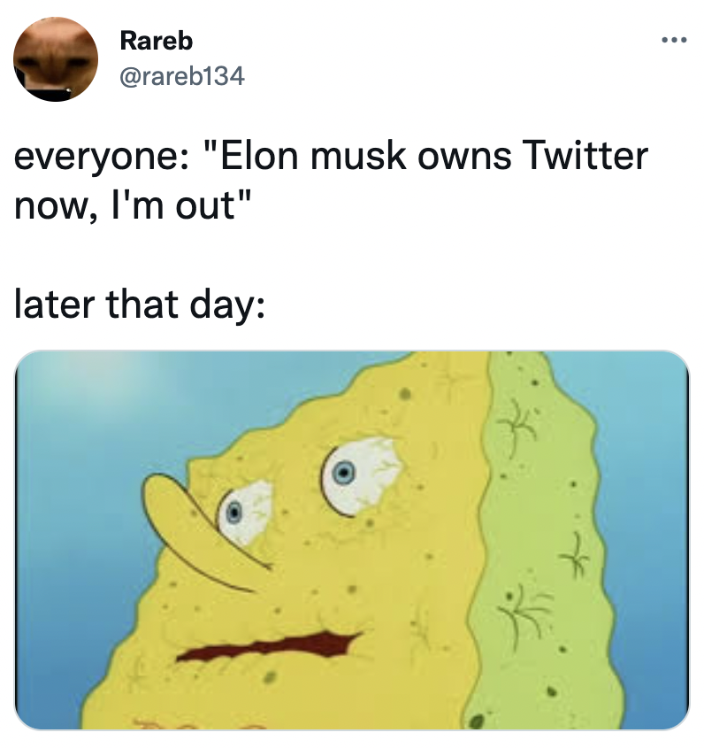 Elon Musk Twitter Memes - starving spongebob - ... Rareb everyone "Elon musk owns Twitter now, I'm out" later that day