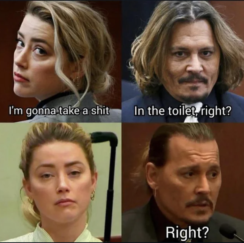 Johnny Depp Memes - amber heard law - I'm gonna take a shit In the toilet, right? Right?