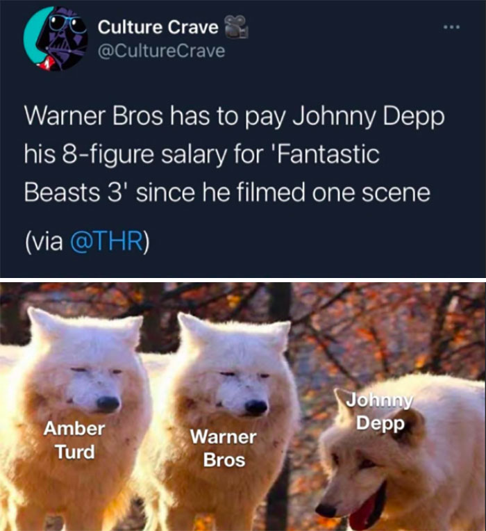 Johnny Depp Memes - johnny depp support memes - Culture Crave Warner Bros has to pay Johnny Depp his 8figure salary for 'Fantastic Beasts 3' since he filmed one scene via Johnny Depp Amber Turd Warner Bros