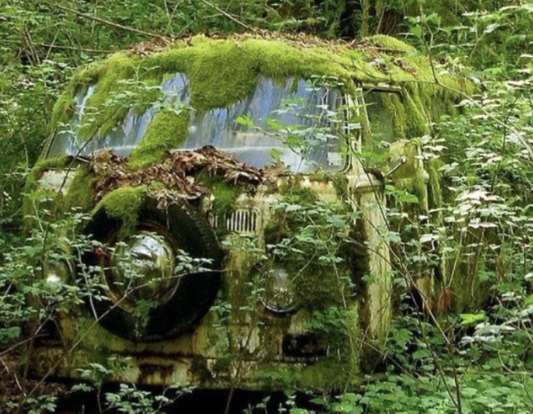 abandoned things - abandoned nature taking over