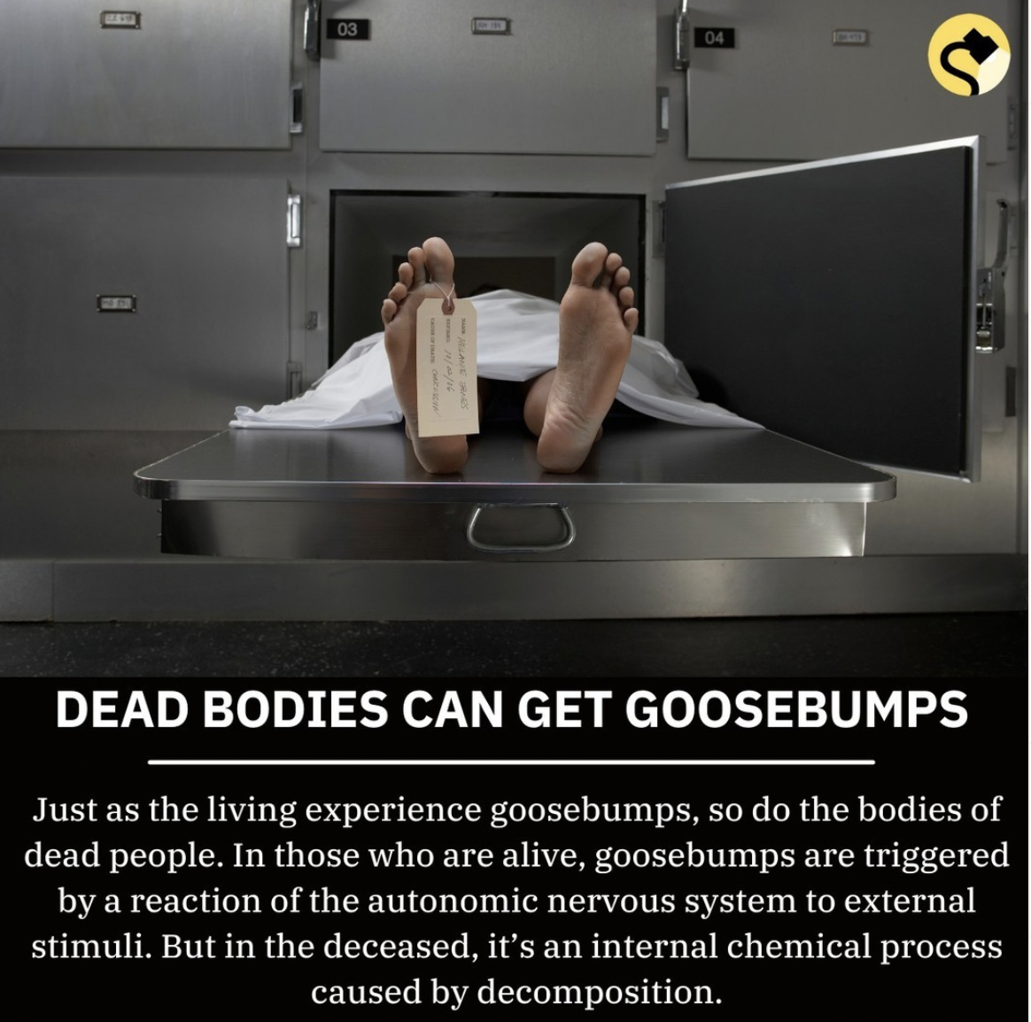 Snopes Facts - death fridge - 03 D 04 Dead Bodies Can Get Goosebumps Just as the living experience goosebumps, so do the bodies of dead people. In those who are alive, goosebumps are triggered by a reaction of the autonomic nervous system to external stim