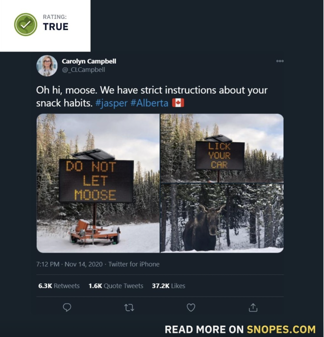 Snopes Facts - display advertising - Rating True Carolyn Campbell Oh hi, moose. We have strict instructions about your snack habits. | Lick Your Car Do Not Let Moose . Nov 14.2029 Twitter for iPhone Quote Tweets kes 17 Read More On Snopes.Com
