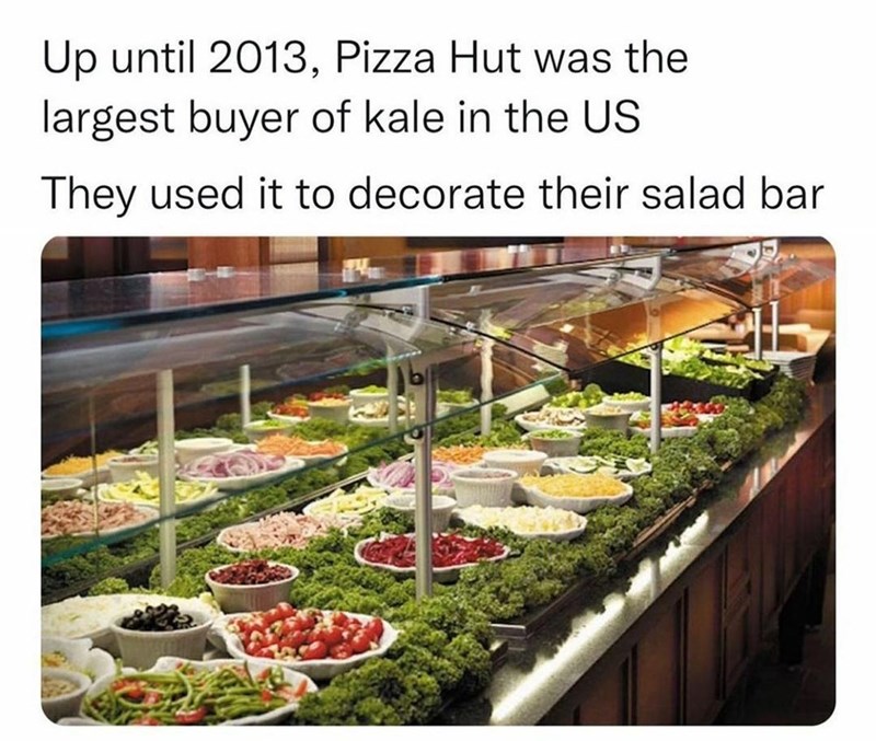 funny memes and random pics - pizza hut largest buyer of kale - Up until 2013, Pizza Hut was the largest buyer of kale in the Us They used it to decorate their salad bar