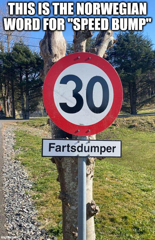funny memes and random pics - meme - This Is The Norwegian Word For "Speed Bump" 30 Fartsdumper imgflip.com