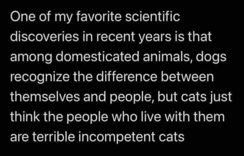monday morning randomness - greatest story ever told shai linne - One of my favorite scientific discoveries in recent years is that among domesticated animals, dogs recognize the difference between themselves and people, but cats just think the people who