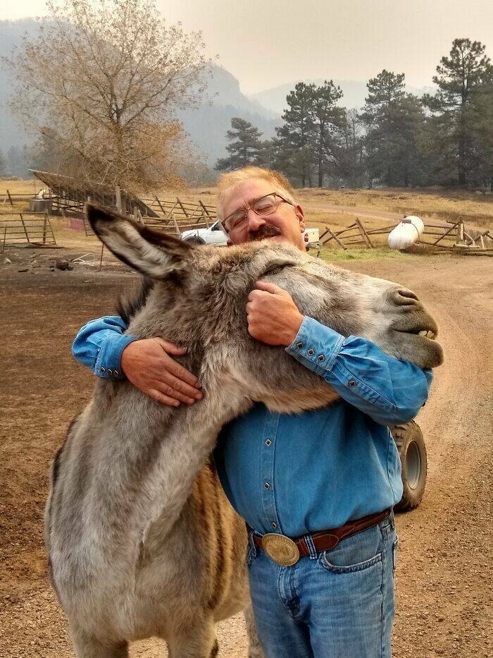 monday morning randomness - man reunited with donkey after fire
