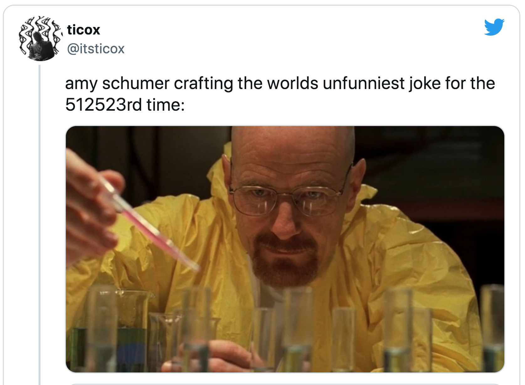 Amy Schumer Oscars Joke - carefully crafting meme - ticox amy schumer crafting the worlds unfunniest joke for the 512523rd time