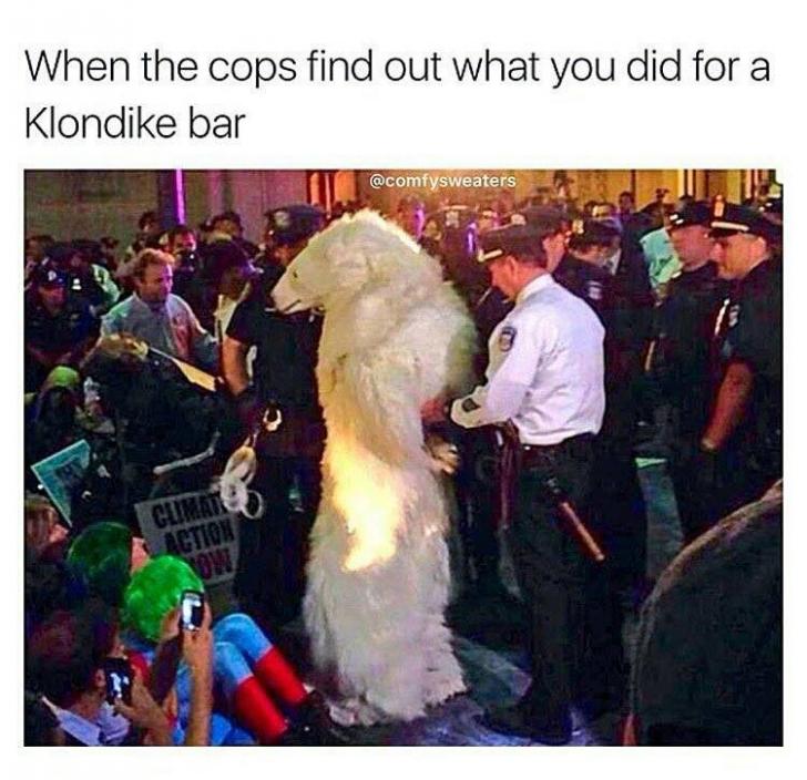 funny pics and memes - would you do klondike bar - When the cops find out what you did for a Klondike bar Climat Action Wow