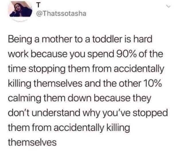 funny pics and memes - paper - T Being a mother to a toddler is hard work because you spend 90% of the time stopping them from accidentally killing themselves and the other 10% calming them down because they don't understand why you've stopped them from a