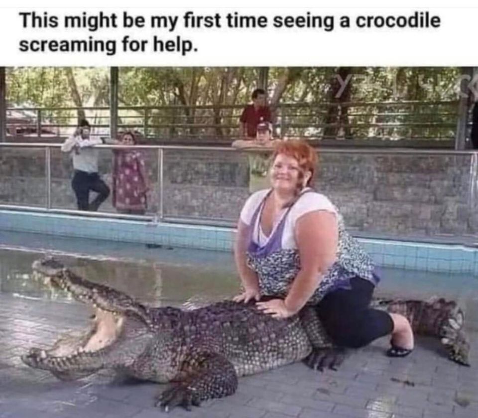 funny pics and memes - johnny knoxville alligator - This might be my first time seeing a crocodile screaming for help. Y2