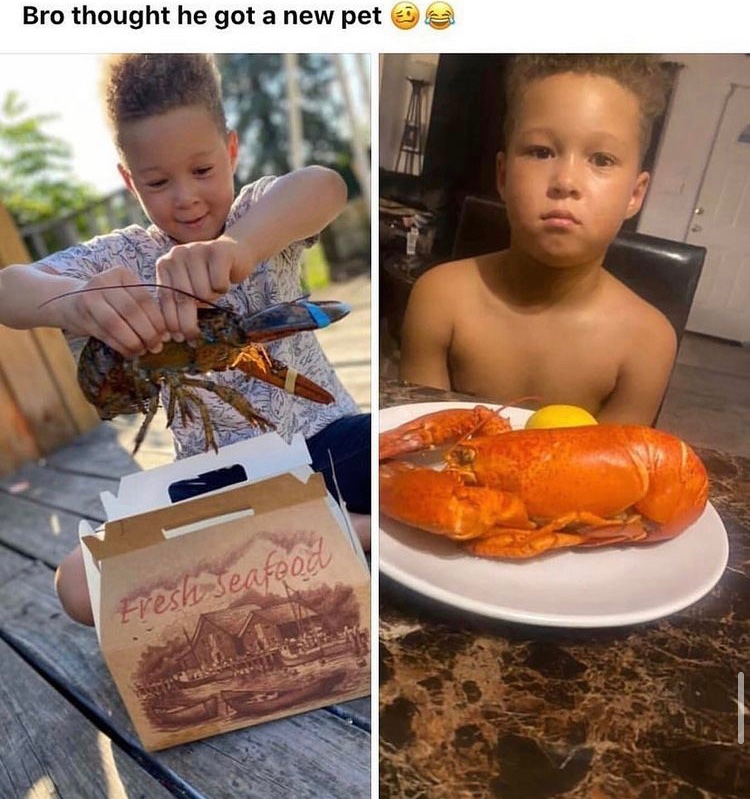 Dude's Taking L's Online - lobster as a pet - Bro thought he got a new pet Fresh seafood