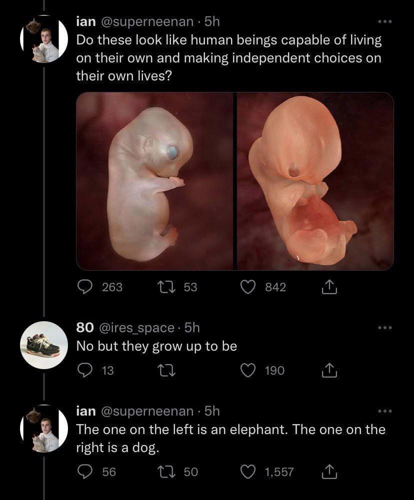 savage clapbacks - dog embryo - ian . 5h Do these look human beings capable of living on their own and making independent choices on their own lives? 263 27 53 842 80 . 5h No but they grow up to be 13 27 190 ian 5h The one on the left is an elephant. The 