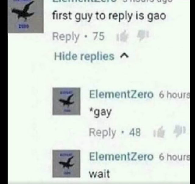 first comment is gay