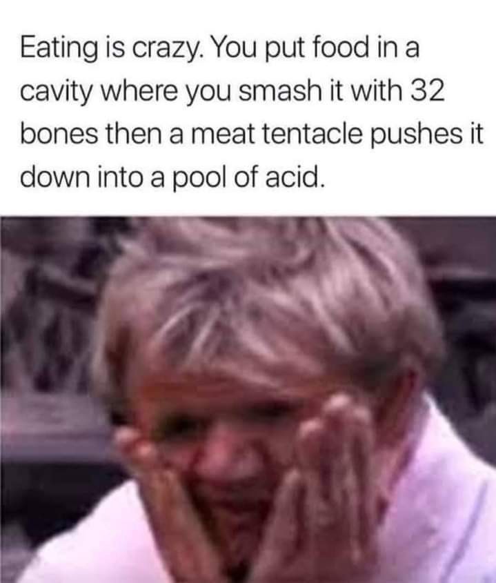 monday morning randomness - gordon ramsay funny - Eating is crazy. You put food in a cavity where you smash it with 32 bones then a meat tentacle pushes it down into a pool of acid.