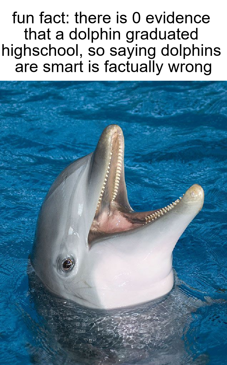 dank memes - dolphin atlantic ocean - fun fact there is O evidence that a dolphin graduated highschool, so saying dolphins are smart is factually wrong w