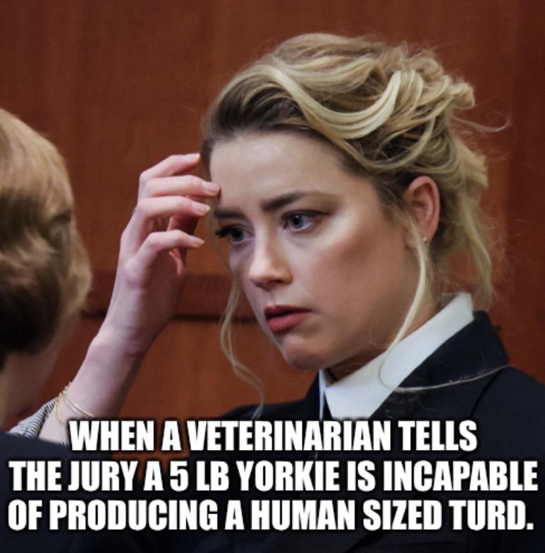 dank memes - johnny depp wife - When A Veterinarian Tells The Jury A 5 Lb Yorkie Is Incapable Of Producing A Human Sized Turd.