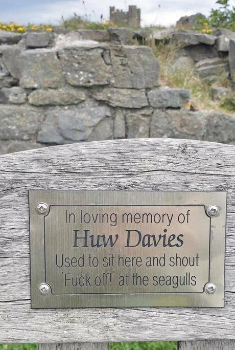 random pics - nature reserve - In loving memory of Huw Davies Used to sit here and shout Fuck off! at the seagulls