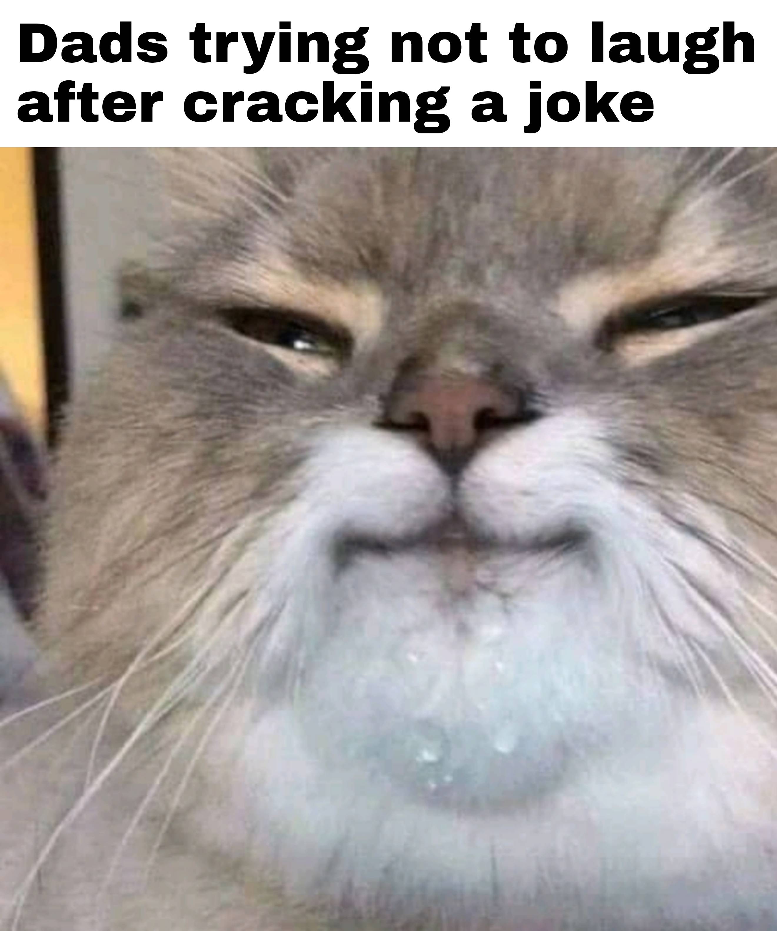 monday morning randomness - cat drink water meme - Dads trying not to laugh after cracking a joke