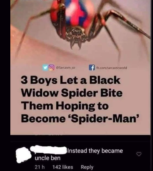cursed comments - so fb.comsarcasticworld 3 Boys Let a Black Widow Spider Bite Them Hoping to Become 'SpiderMan' Instead they became uncle ben 21 h 142