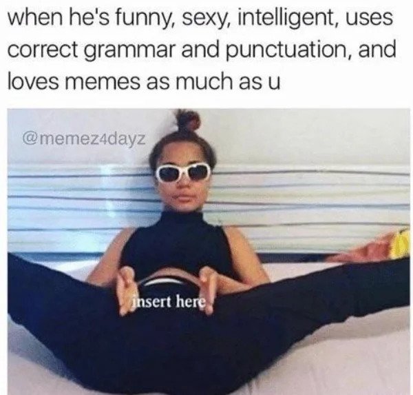 nsfw memes - insert meme - when he's funny, sexy, intelligent, uses correct grammar and punctuation, and loves memes as much as u insert here
