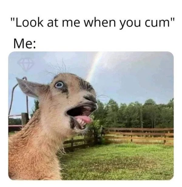 nsfw memes - look at me when you cum meme - "Look at me when you cum" Me