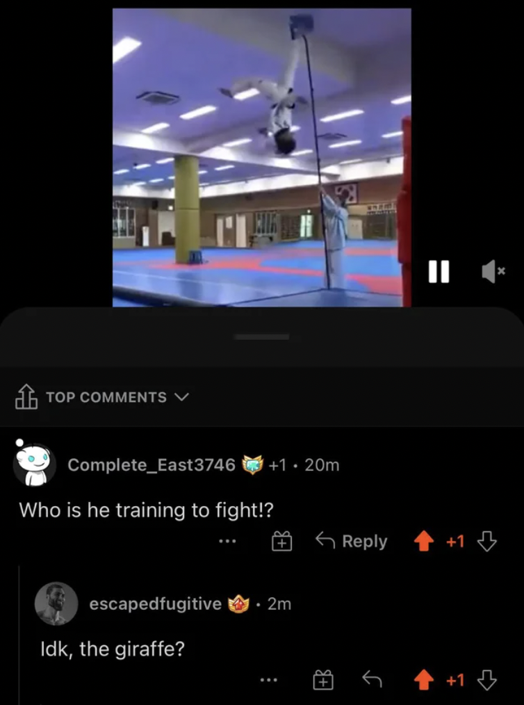 Funny Comments - Who is he training to fight!?