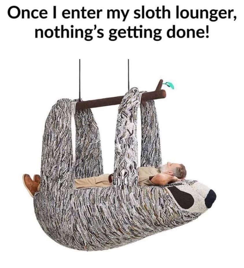 funny memes and pics - hanging sloth lounger - Once I enter my sloth lounger, nothing's getting done!