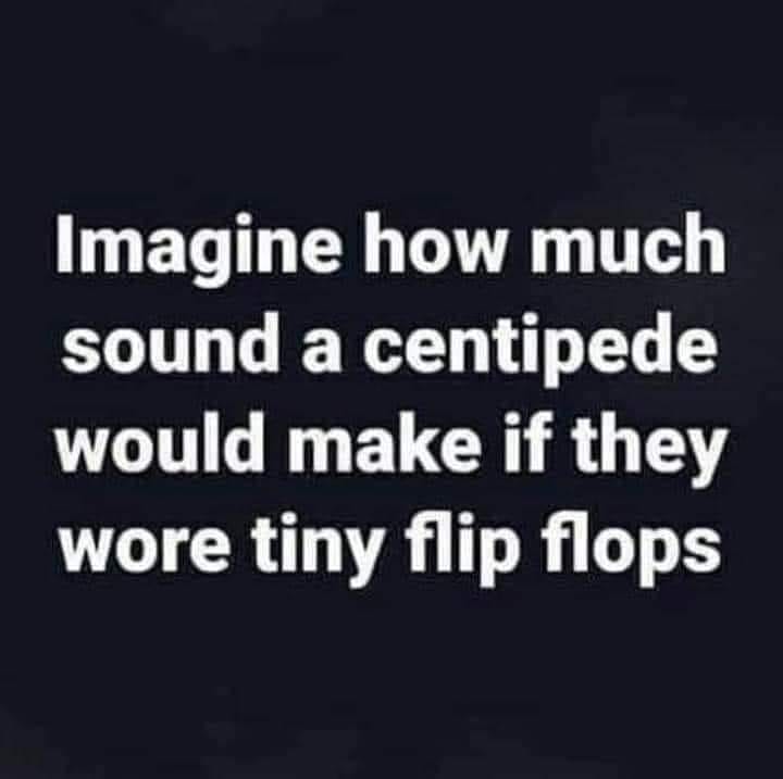 funny memes and pics - mentally checked out of relationship - Imagine how much sound a centipede would make if they wore tiny flip flops