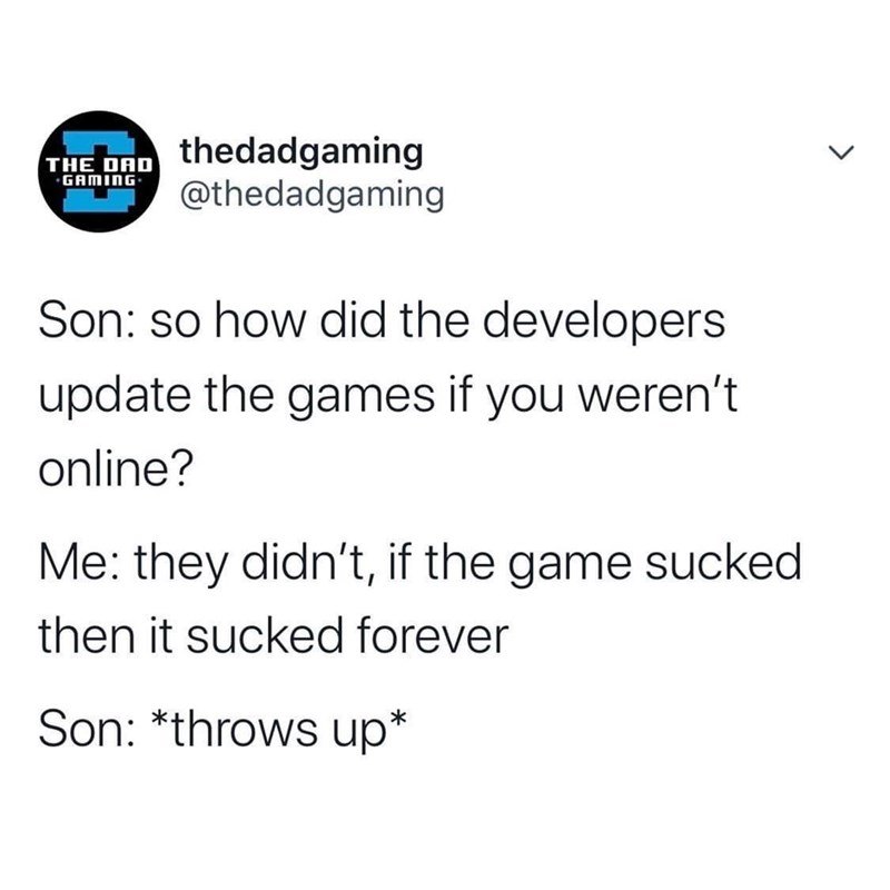 funny memes and pics - packing for vacation meme - The Dad Gaming thedadgaming Son so how did the developers update the games if you weren't online? Me they didn't, if the game sucked then it sucked forever Son throws up L