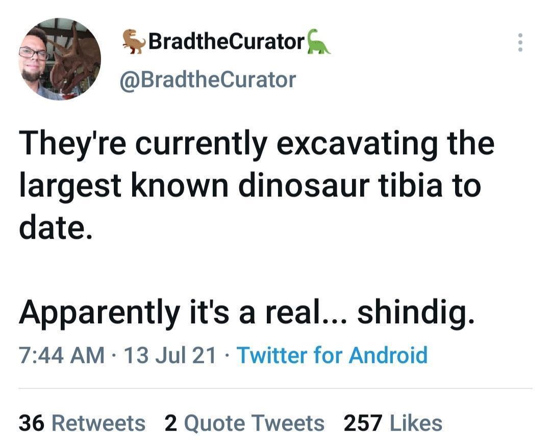cool random pics - cool pics and memes kevin smith worst tweet ever - BradtheCurator They're currently excavating the largest known dinosaur tibia to date. Apparently it's a real... shindig. 13 Jul 21 Twitter for Android 36 2 Quote Tweets 257