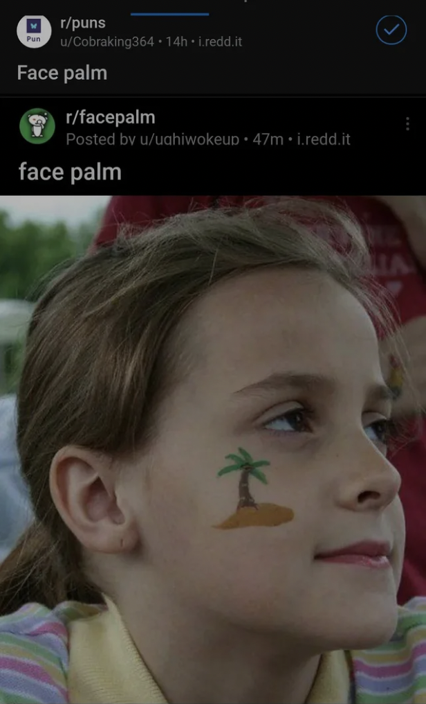 Technically Not Wrong - Face palm face palm Alia